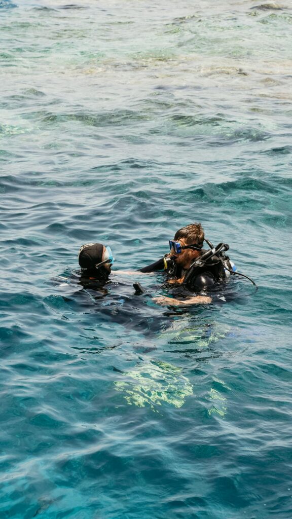 wynajem domek nad morzem