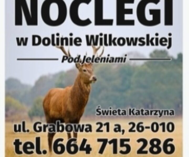 Noclegi Świętokrzyskie W Dolinie Wilkowskiej Nadia,, Pod Jeleniami "prawdziwymi.